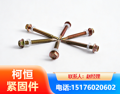昭通六角钻尾丝